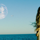 Illustration for article titled Best films of 2011